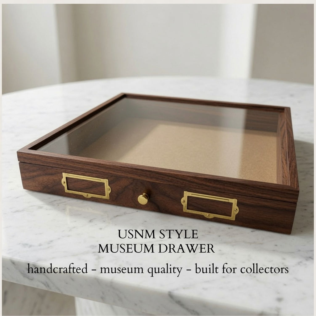USNM Style Museum Collection Drawer | Handmade Hardwood Entomology Storage Drawer