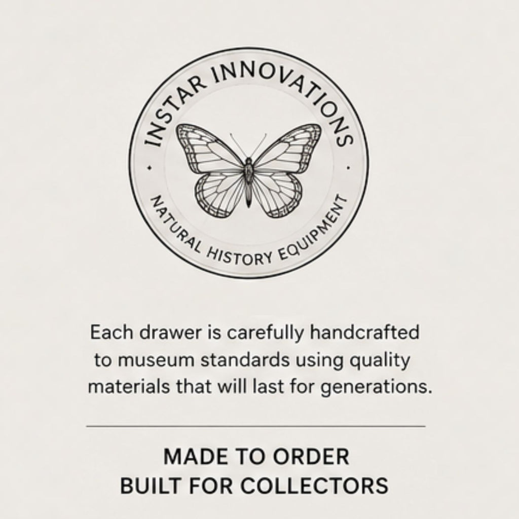 Cornell Style Museum Collection Drawer | Handmade Hardwood Entomology Storage Drawer